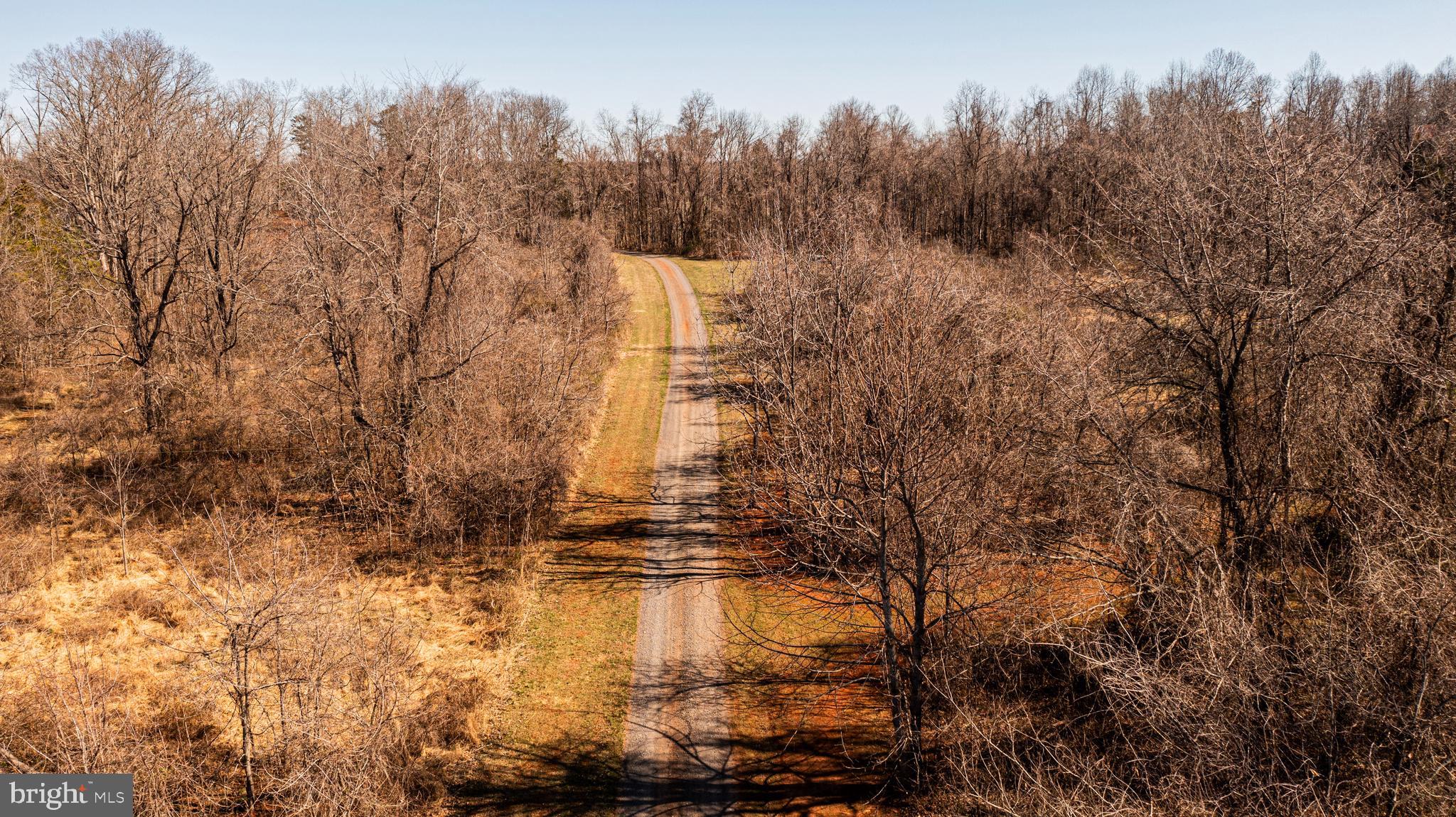 8158 Botha Road Warrenton, VA 20186 - Photo 22 of 30 a view of a yard with trees