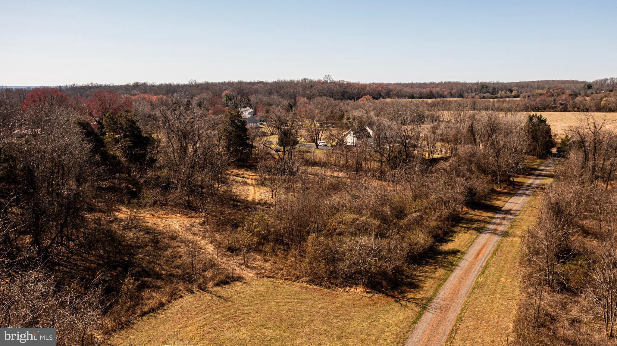 8158 Botha Road Warrenton, VA 20186 - Photo 24 of 30 a view of a forest
