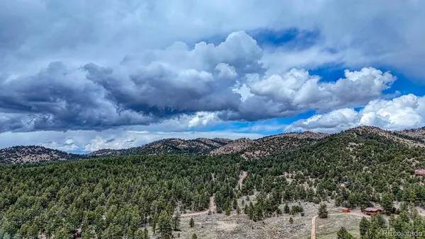 a view of a city with lush green forest