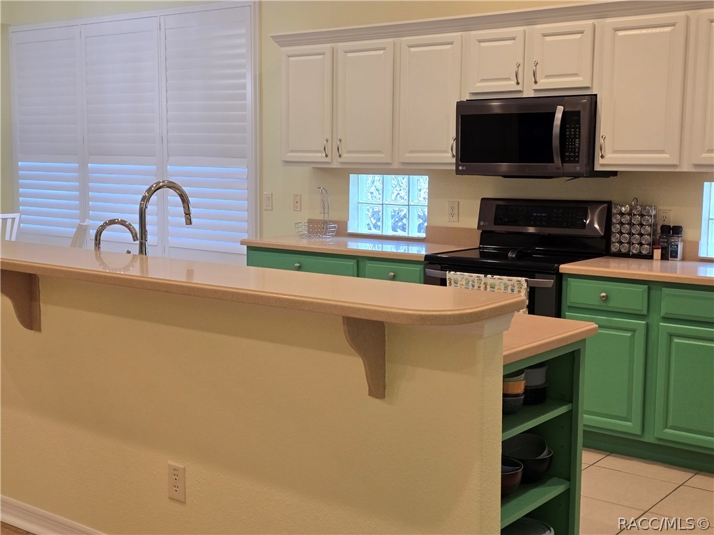 619 West Doerr Path Hernando, FL 34442 - Photo 10 of 57