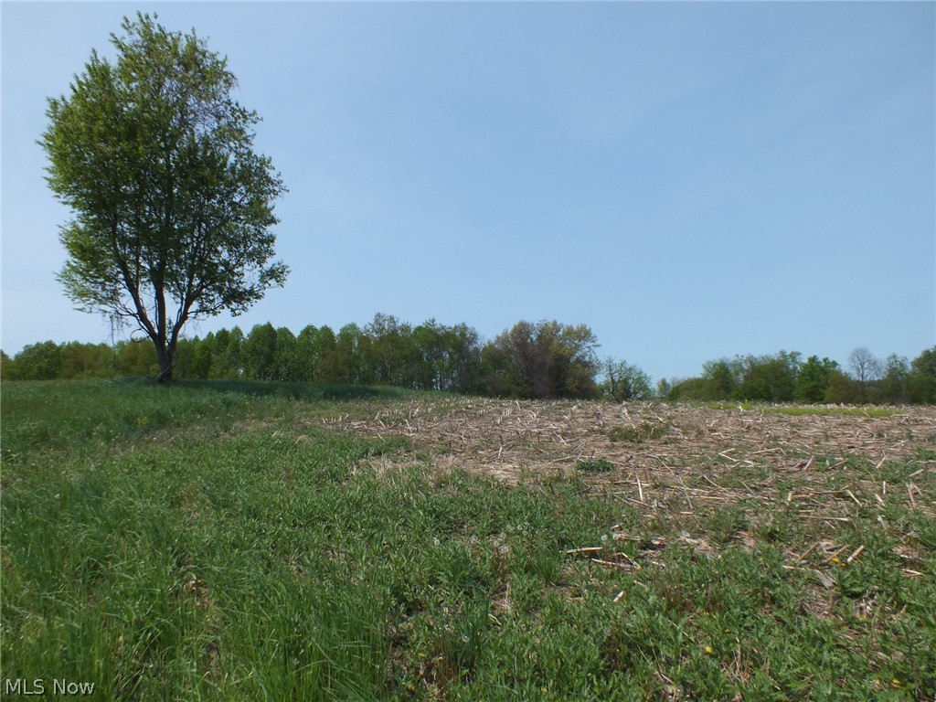 Brocade Road Amsterdam, OH 43903 - Photo 10 of 26 https://neohrex.mlsmatrix.com/Matrix/MediaManager/ShowImage.aspx?tbl=9&mtid=1&tmui=71878236&mf=P718783751351b78d-7928-4050-a00a-666ab54e09f8U-1&w=133&h=100&q=99&md=2022-05-20%2010:02:51.910