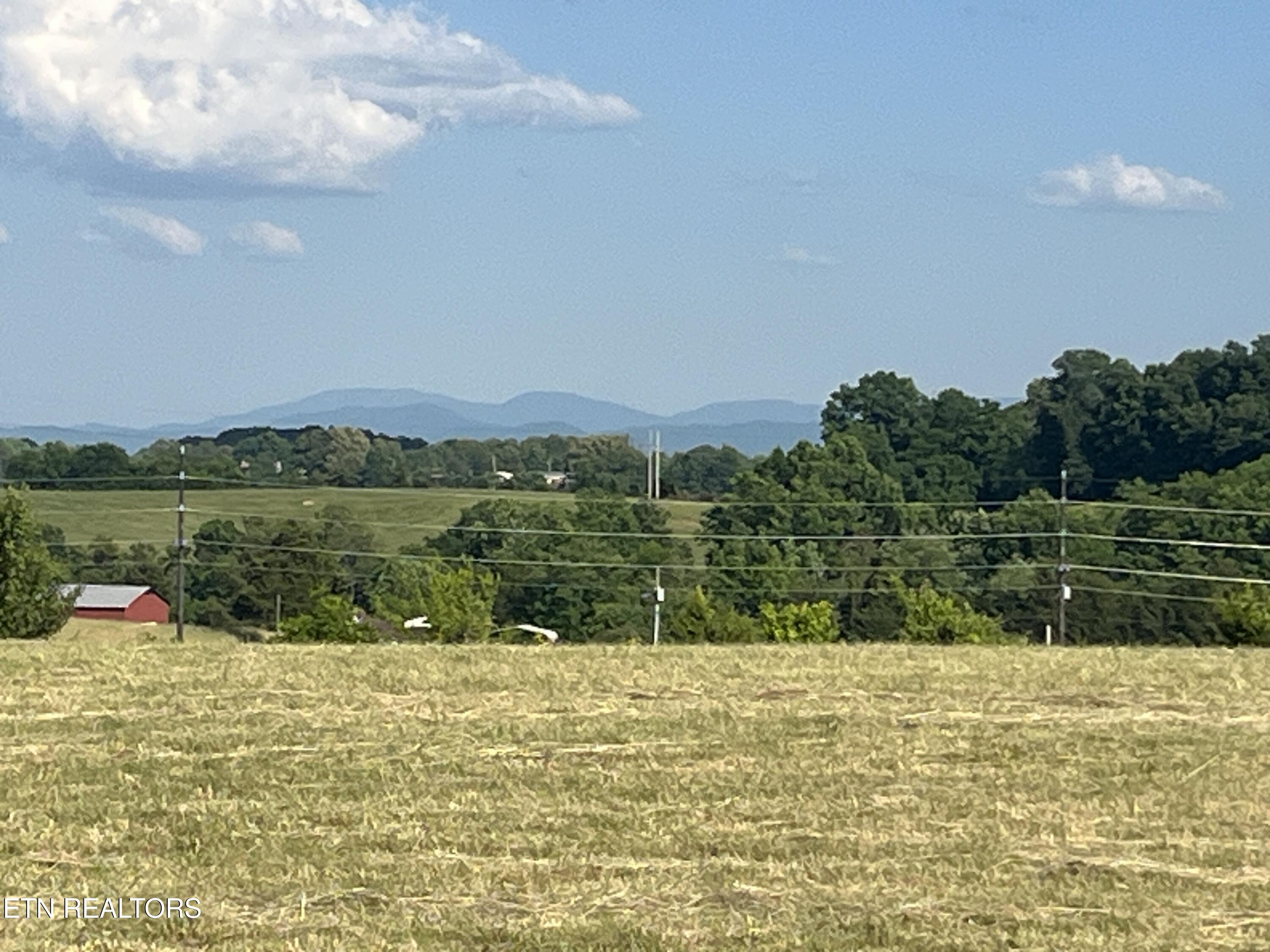 9.32 Acres Off Sam Martin Road Dandridge, TN 37725 - Photo 20 of 26 18
