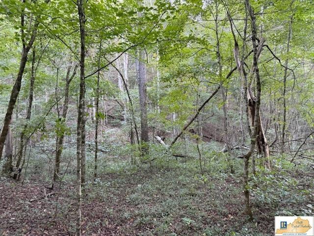 20-ac Neat Road Columbia, KY 42728 - Photo 25 of 29 Gallery Image 25