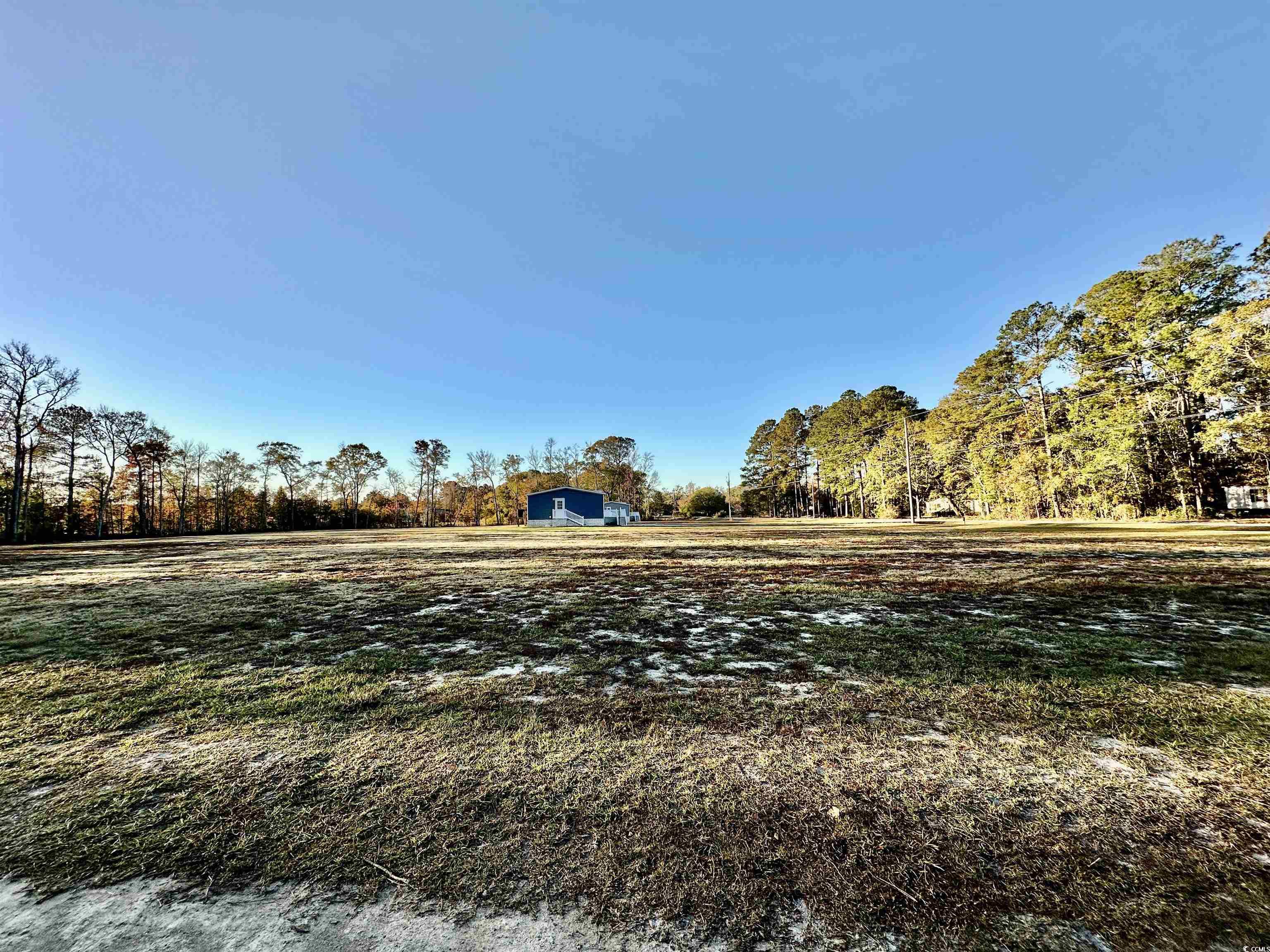 593 Loop Circle Longs, SC 29568 - Photo 3 of 6 Gallery Image 3