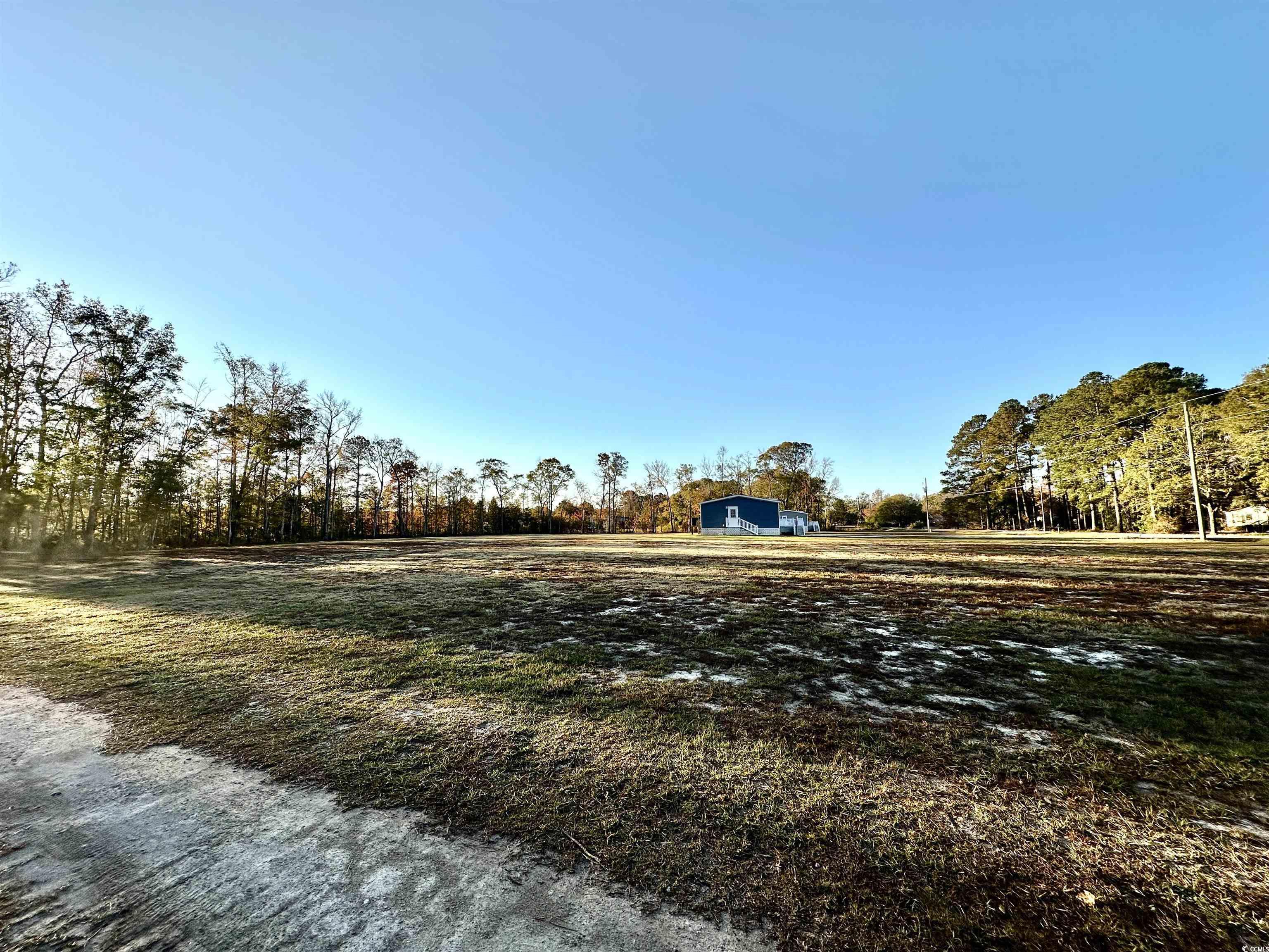 593 Loop Circle Longs, SC 29568 - Photo 4 of 6 Gallery Image 4