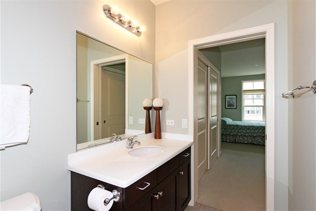 151 West Wing Street, Unit 610 Arlington Heights, IL 60005 - Photo 17 of 21 a en suite bathroom with a sink and a mirror