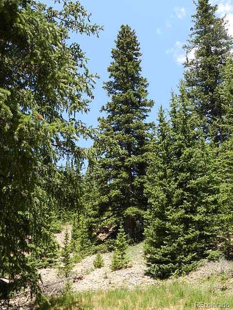 6509 Forbes Road Fort Garland, CO 81133 - Photo 11 of 29 Gallery Image 11