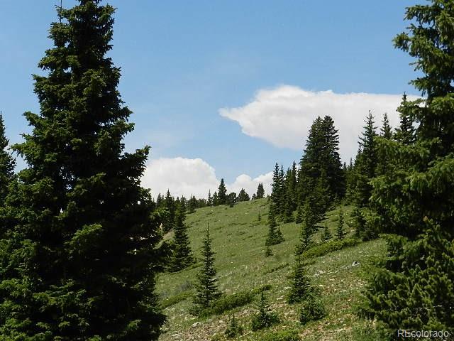 6509 Forbes Road Fort Garland, CO 81133 - Photo 12 of 29 Gallery Image 12