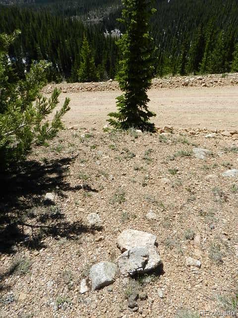 6509 Forbes Road Fort Garland, CO 81133 - Photo 14 of 29 Gallery Image 14