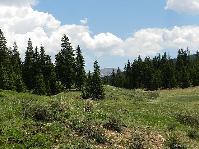 6509 Forbes Road Fort Garland, CO 81133 - Photo 17 of 29 Gallery Image 17