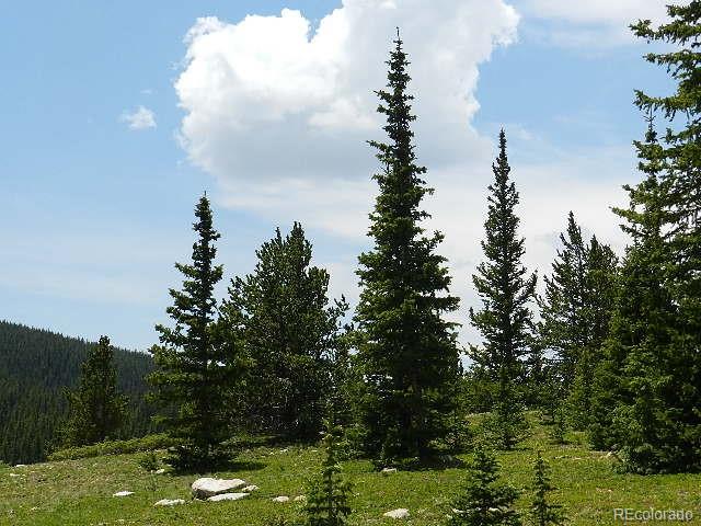 6509 Forbes Road Fort Garland, CO 81133 - Photo 18 of 29 Gallery Image 18