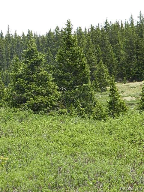6509 Forbes Road Fort Garland, CO 81133 - Photo 19 of 29 Gallery Image 19