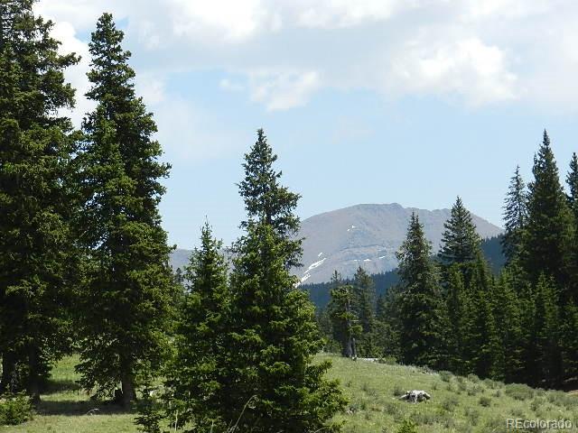 6509 Forbes Road Fort Garland, CO 81133 - Photo 2 of 29 Gallery Image 2