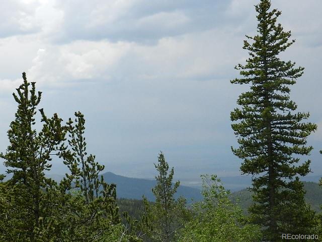 6509 Forbes Road Fort Garland, CO 81133 - Photo 21 of 29 Gallery Image 21