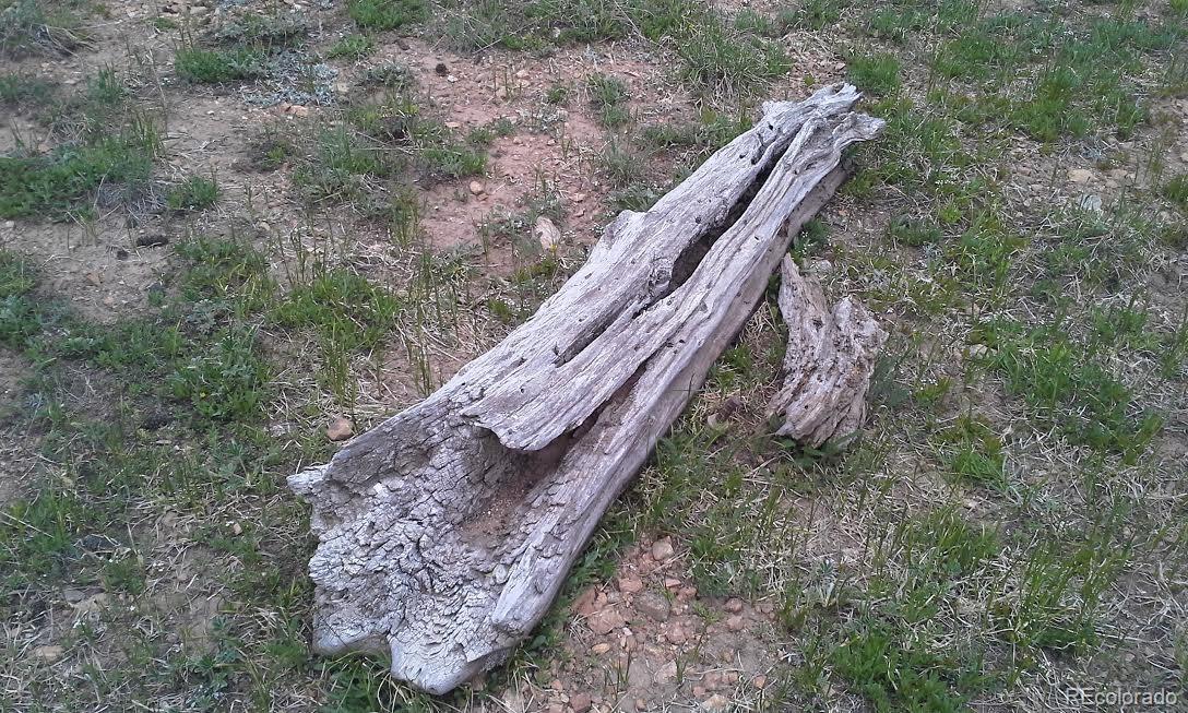 6509 Forbes Road Fort Garland, CO 81133 - Photo 29 of 29 Gallery Image 29