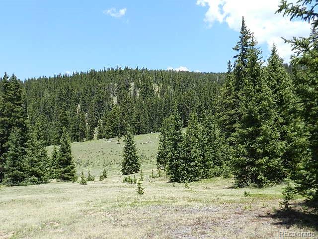 6509 Forbes Road Fort Garland, CO 81133 - Photo 3 of 29 Gallery Image 3