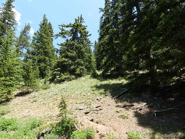 6509 Forbes Road Fort Garland, CO 81133 - Photo 7 of 29 Gallery Image 7