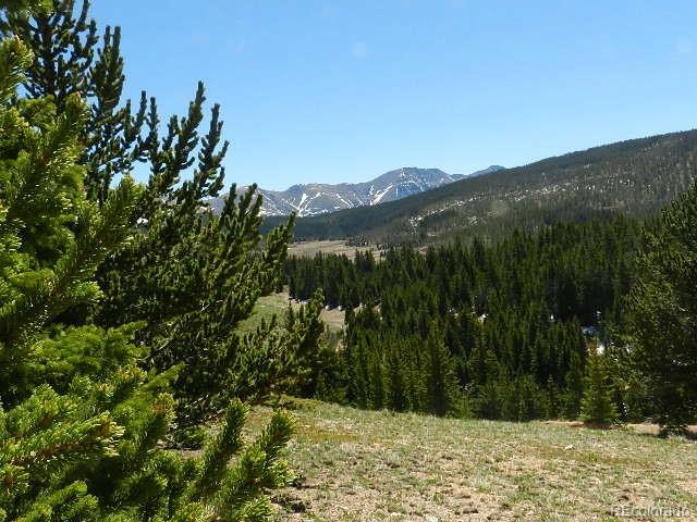 6509 Forbes Road Fort Garland, CO 81133 - Photo 8 of 29 Gallery Image 8