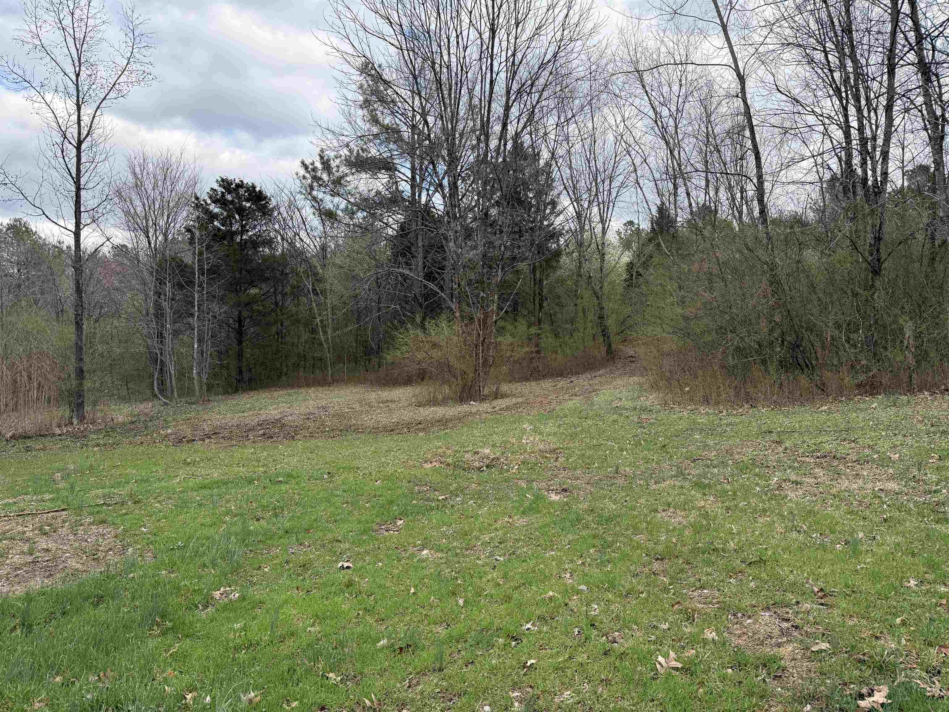 a view of outdoor space with deck and yard