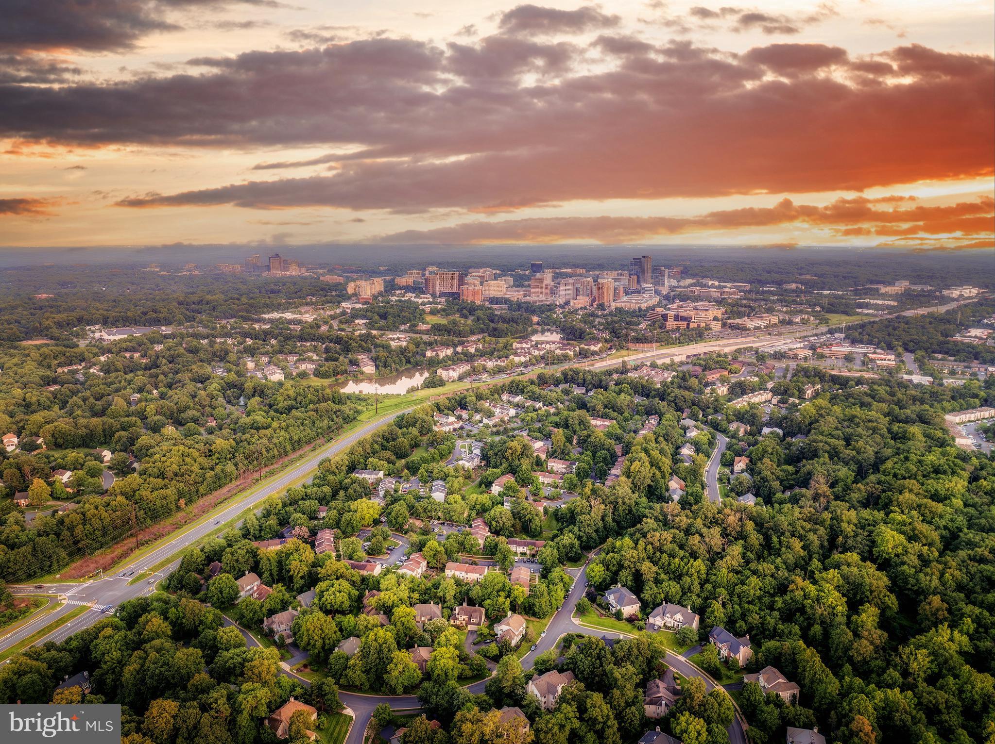 12021 North Walnut Branch Road Reston, VA 20194 - Photo 6 of 13