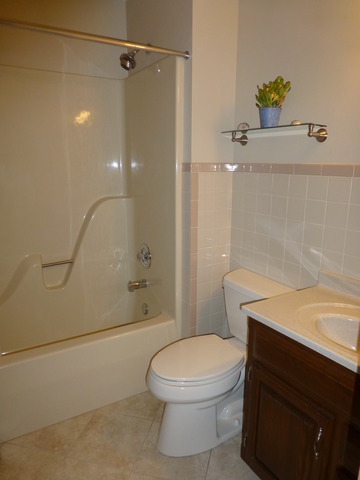 1726 Ranchview Drive Naperville, IL 60565 - Photo 12 of 14 a bathroom with a sink a toilet and shower