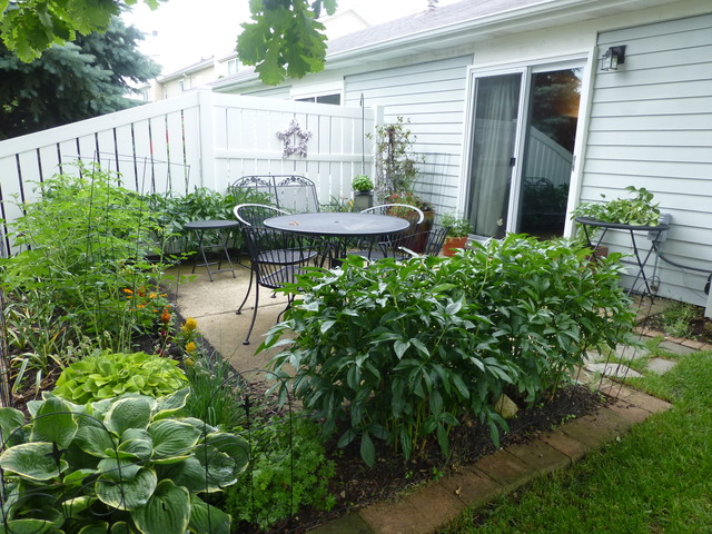 1726 Ranchview Drive Naperville, IL 60565 - Photo 3 of 14 a view of a backyard with plants and a patio