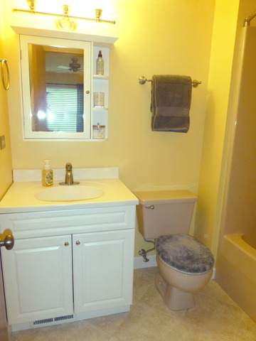 1726 Ranchview Drive Naperville, IL 60565 - Photo 10 of 14 a bathroom with a toilet a sink and mirror