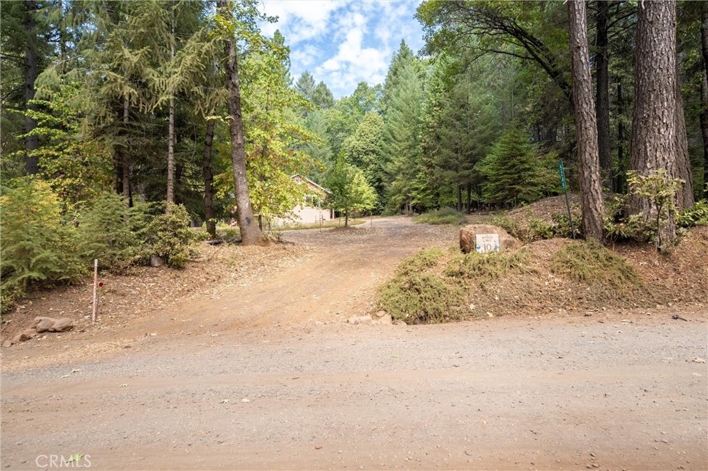 5245 Headwaters Road Forest Ranch, CA 95942 - Photo 32 of 47 a view of a yard with large trees