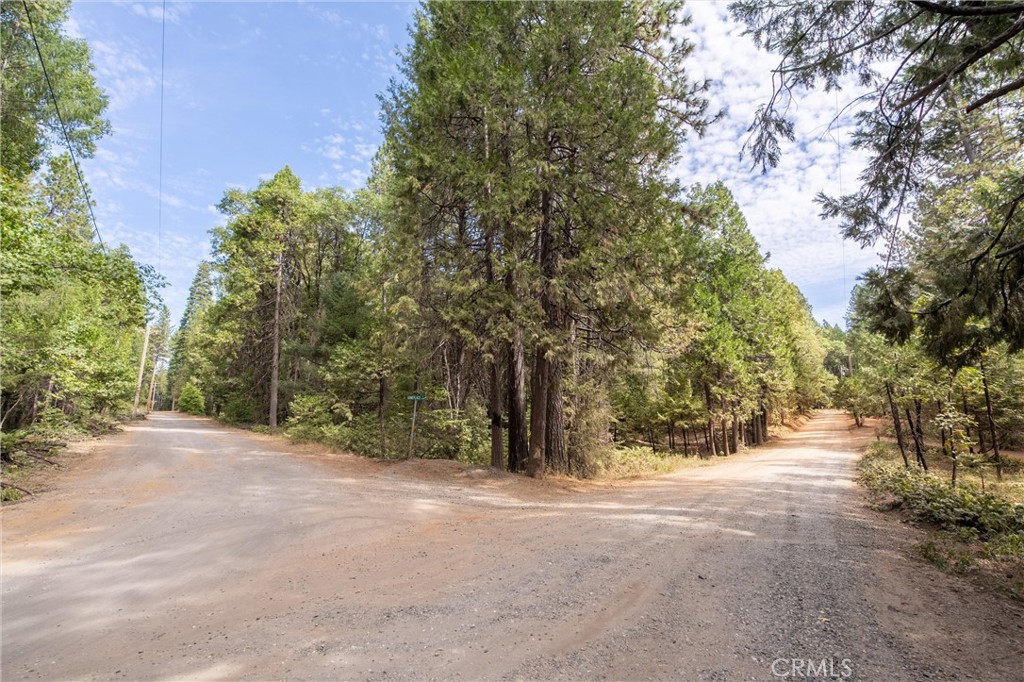 5245 Headwaters Road Forest Ranch, CA 95942 - Photo 33 of 47 a view of road and trees