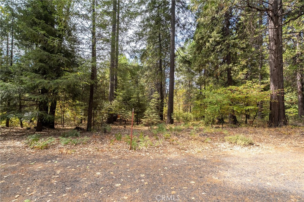 5245 Headwaters Road Forest Ranch, CA 95942 - Photo 35 of 47 a view of a yard with trees