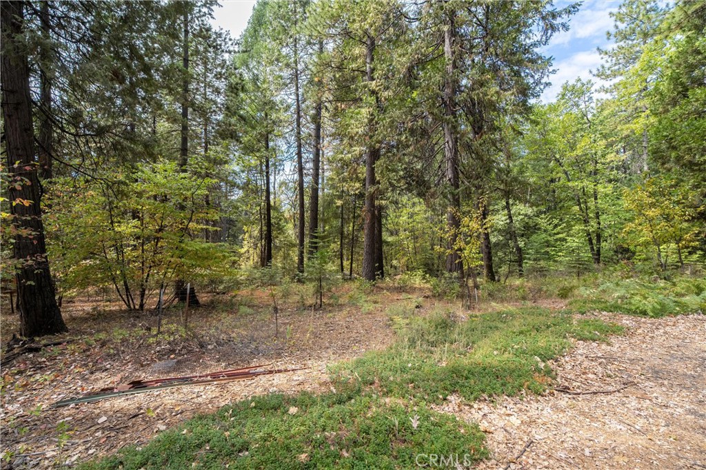 5245 Headwaters Road Forest Ranch, CA 95942 - Photo 36 of 47 a view of outdoor space with trees