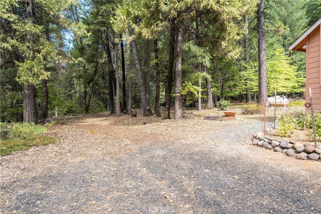 5245 Headwaters Road Forest Ranch, CA 95942 - Photo 37 of 47 a backyard of a house with lots of green space