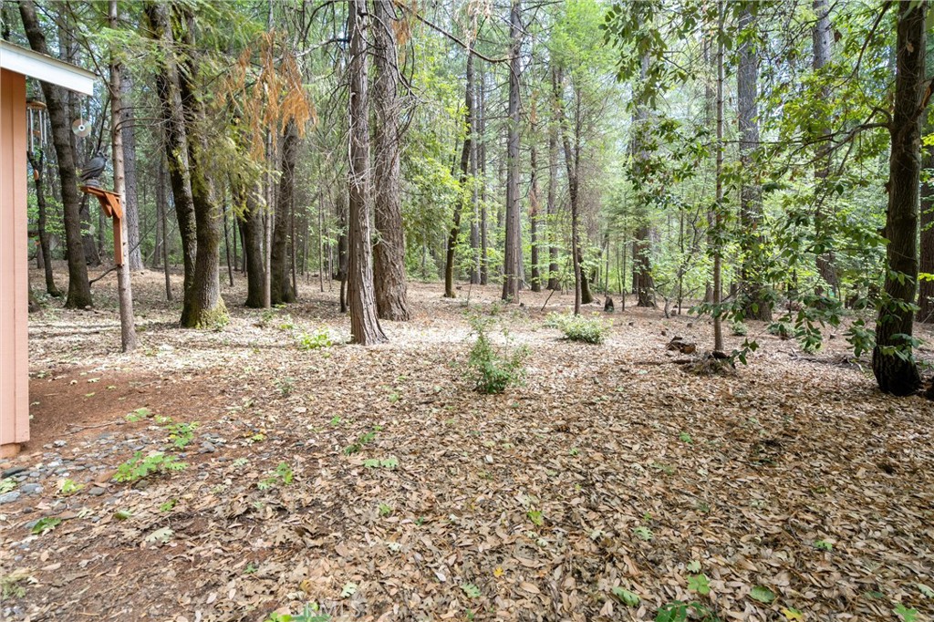 5245 Headwaters Road Forest Ranch, CA 95942 - Photo 4 of 47 a backyard of a house with lots of green space