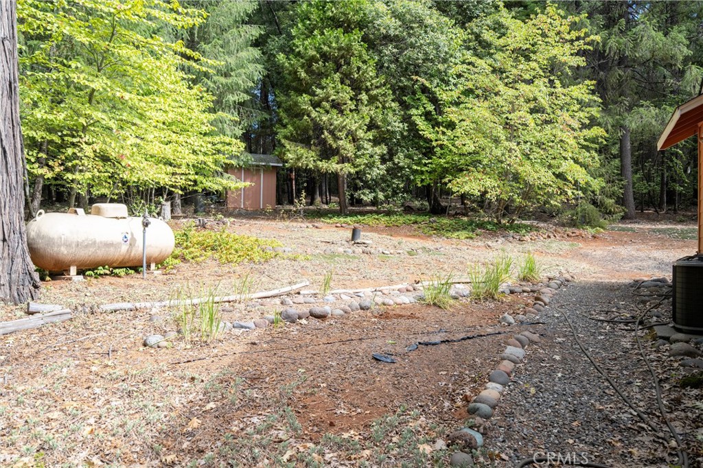 5245 Headwaters Road Forest Ranch, CA 95942 - Photo 41 of 47 a view of a yard with trees