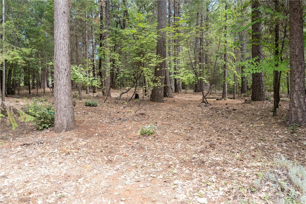 5245 Headwaters Road Forest Ranch, CA 95942 - Photo 43 of 47 a backyard of a house with lots of green space