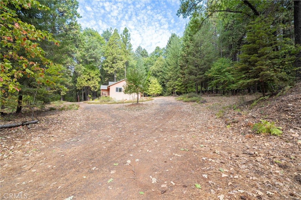 5245 Headwaters Road Forest Ranch, CA 95942 - Photo 46 of 47 a view of a field with plants and trees