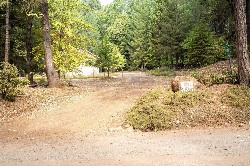 5245 Headwaters Road Forest Ranch, CA 95942 - Photo 47 of 47 a view of yard covered with snow