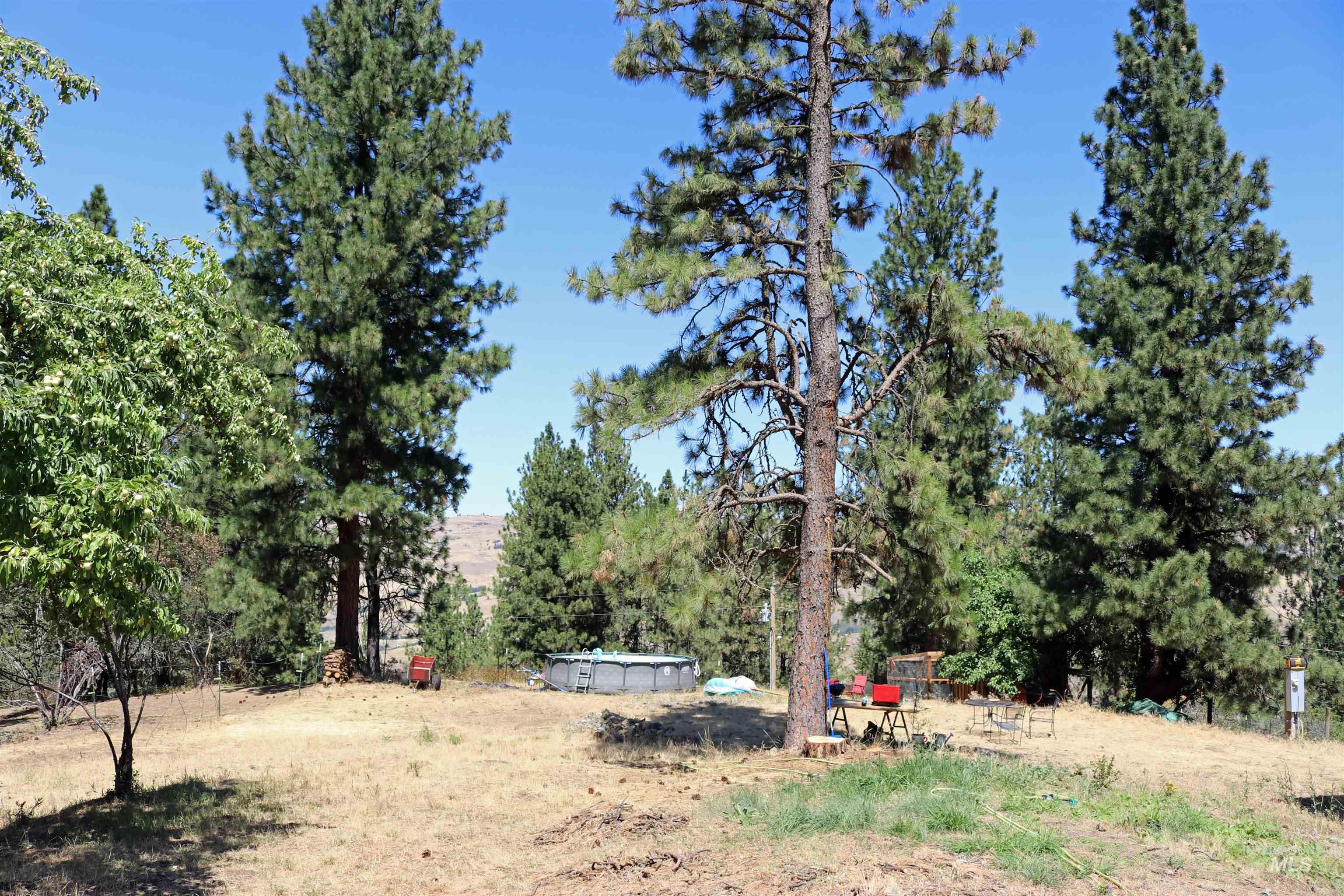 37596 Eberhardt Road Lenore, ID 83541 - Photo 8 of 48