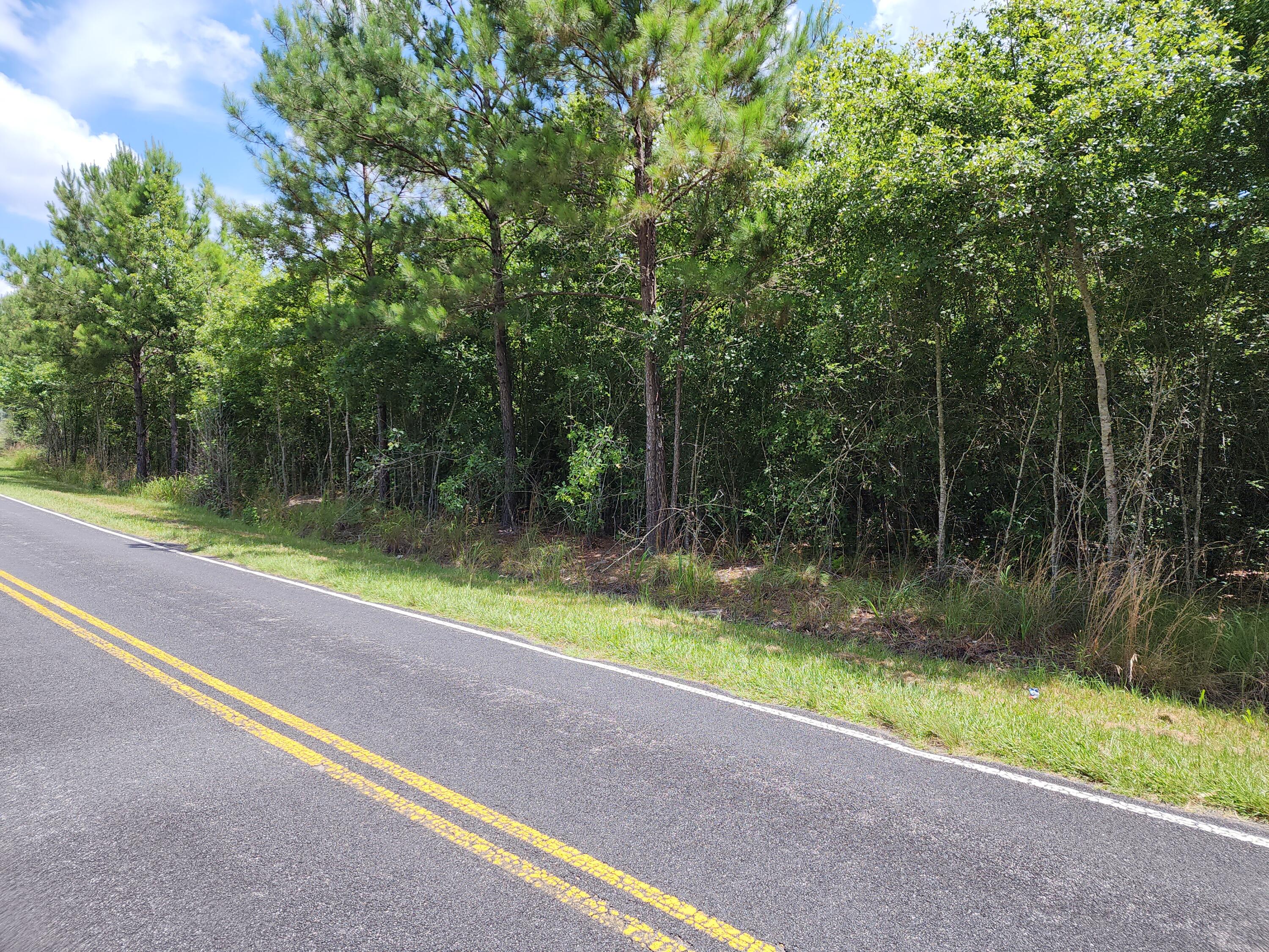 19 Thomas-Kate Road Dorchester, SC 29437 - Photo 13 of 26 20240618_122311