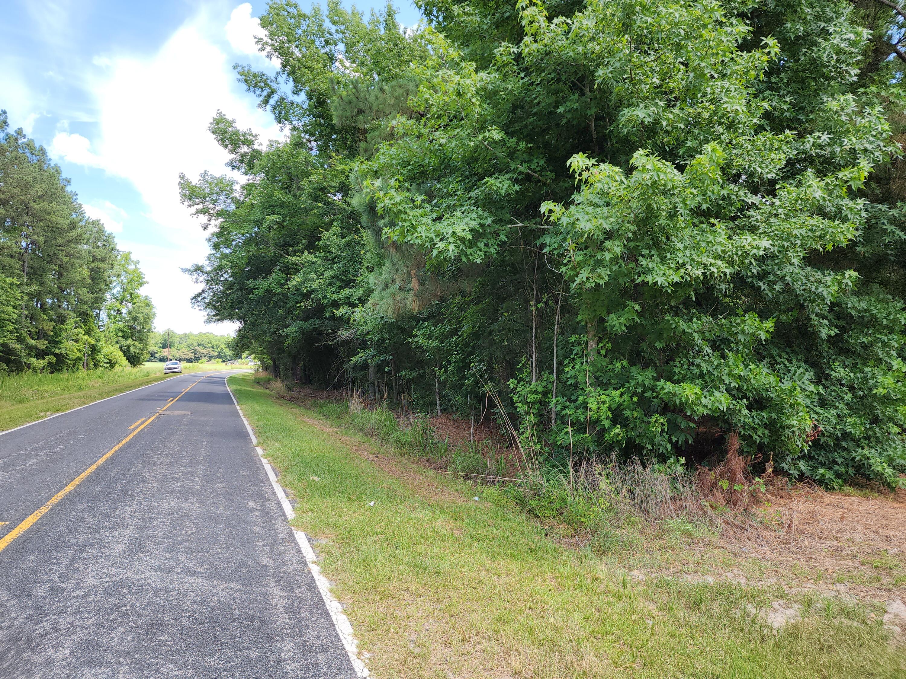 19 Thomas-Kate Road Dorchester, SC 29437 - Photo 14 of 26 20240618_122443