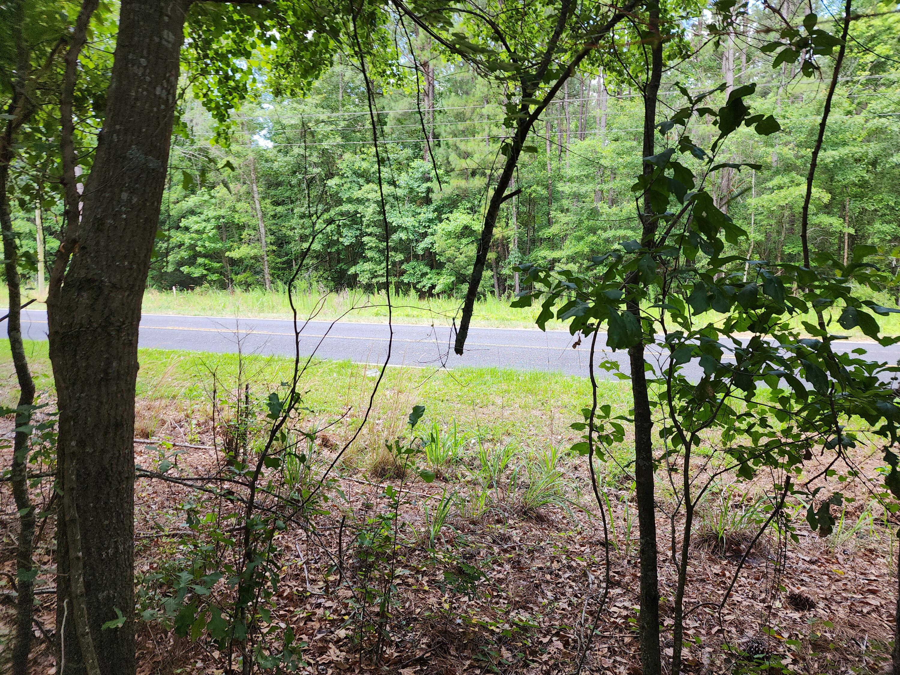 19 Thomas-Kate Road Dorchester, SC 29437 - Photo 23 of 26 20240618_123059