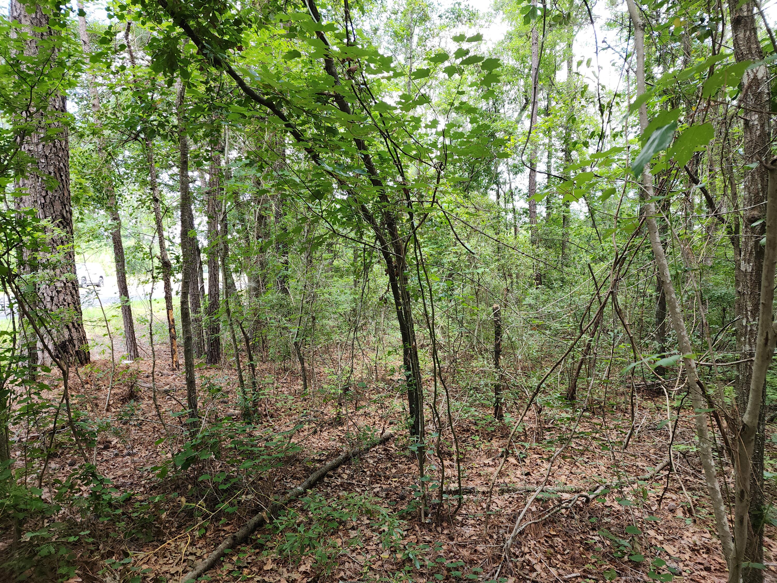 19 Thomas-Kate Road Dorchester, SC 29437 - Photo 26 of 26 20240618_123106