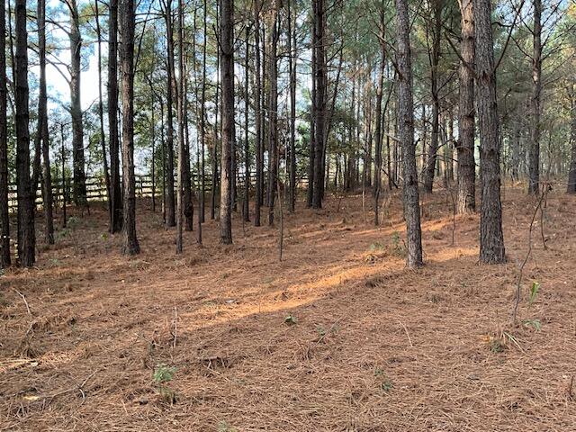 W/sd W/sd New Holland Road Wagener, SC 29164 - Photo 2 of 6