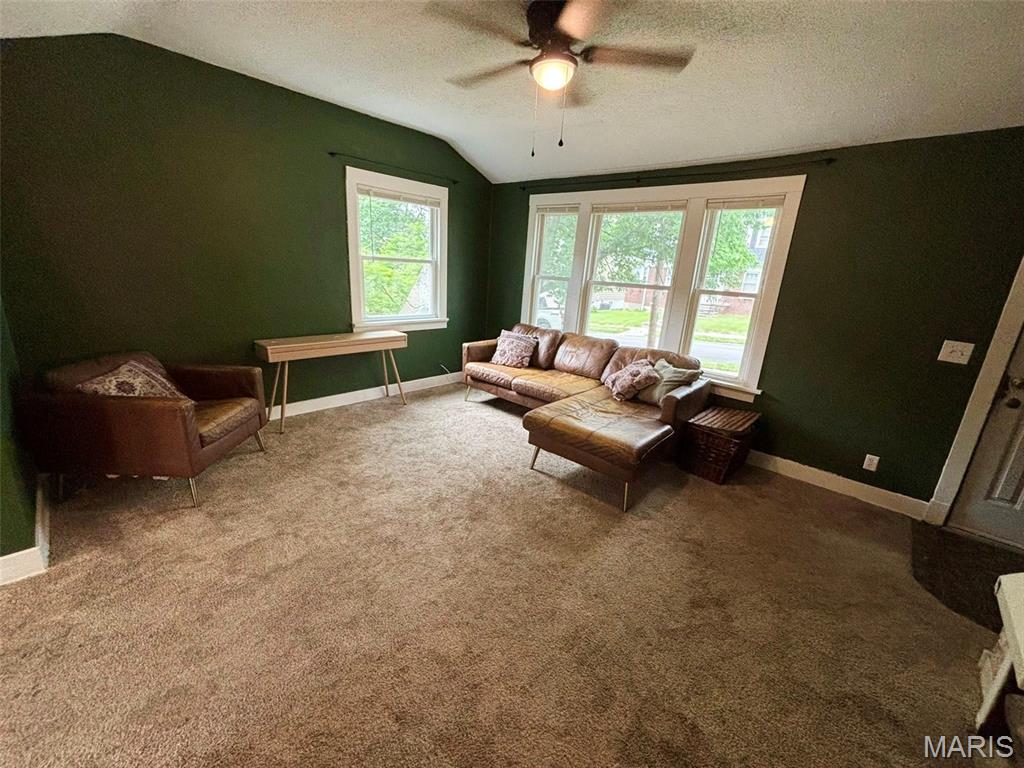 210 Shepherd Place Hannibal, MO 63401 - Photo 3 of 16