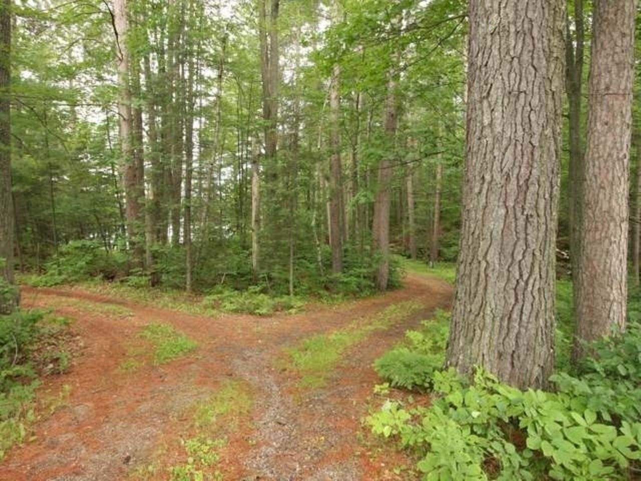 4489 Cth P Rhinelander, WI 54501 - Photo 11 of 23 Gallery Image 11