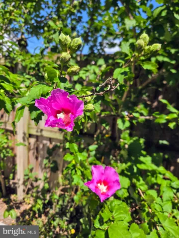 $340,000 | 7908 Ardmore Avenue, Baltimore, MD 21234