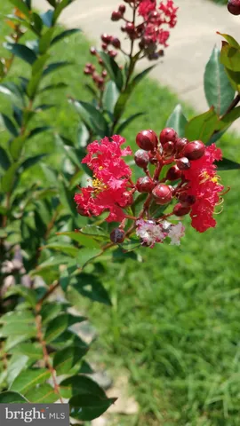 $340,000 | 7908 Ardmore Avenue, Baltimore, MD 21234