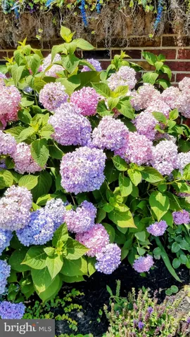 $340,000 | 7908 Ardmore Avenue, Baltimore, MD 21234