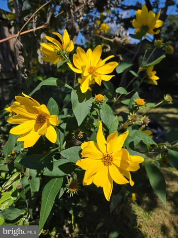 $340,000 | 7908 Ardmore Avenue, Baltimore, MD 21234