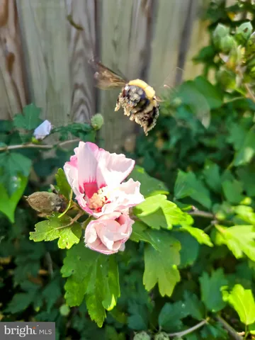 $340,000 | 7908 Ardmore Avenue, Baltimore, MD 21234